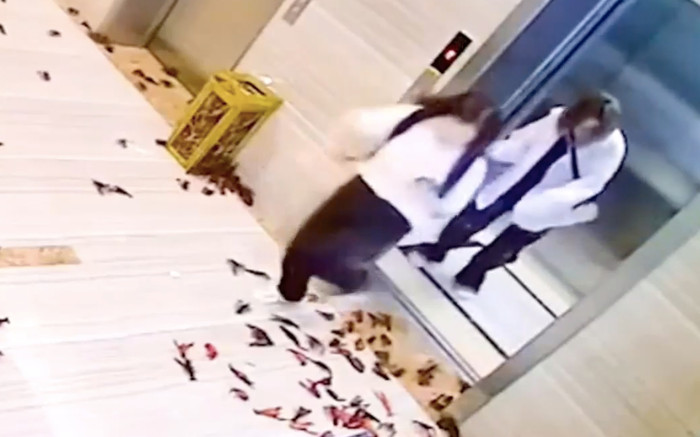 Đến văn phòng làm việc, 2 người phụ nữ tái mặt vì cảnh trước mắt Ảnh 2