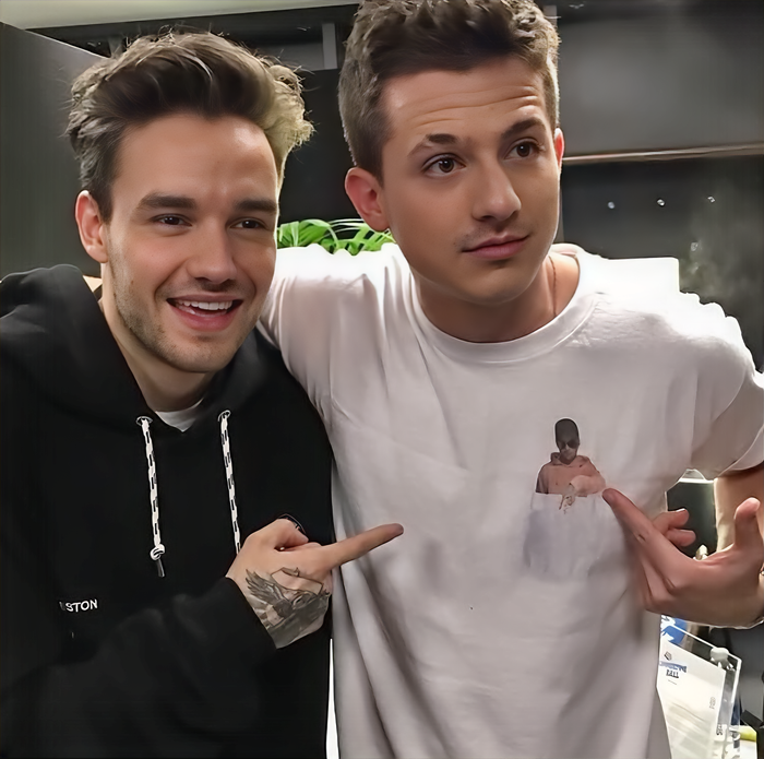Thành viên One Direction qua đời vì ngã lầu, Charlie Puth: Tôi không thể tin rằng cậu ấy đã ra đi' Ảnh 5