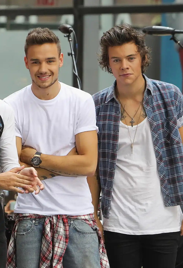 Harry Style và Liam Payne