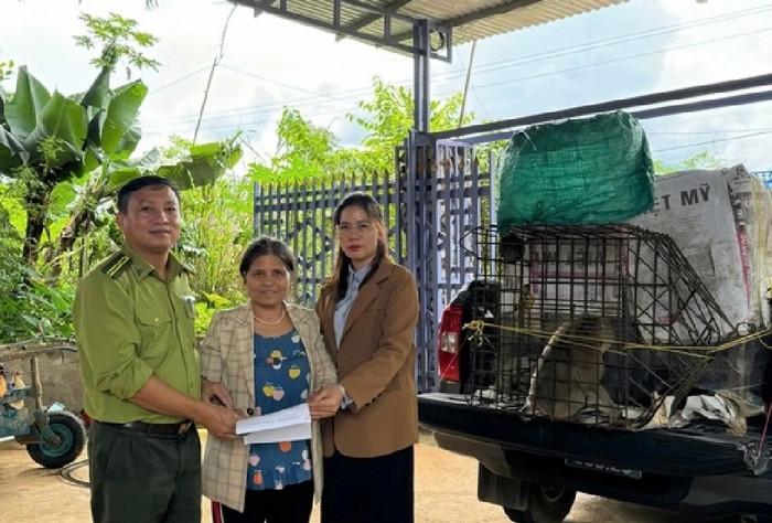 Gia đình bà Y Dương (ở giữa) vây bắt động vật quý hiếm và giao nộp cho kiểm lâmẢnh: Thanh Niên