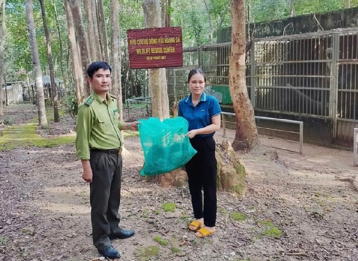 Phát hiện khỉ quý hiếm phá phách trong vườn, người dân Kon Tum giao nộp kiểm lâm - Ảnh: Thanh Niên