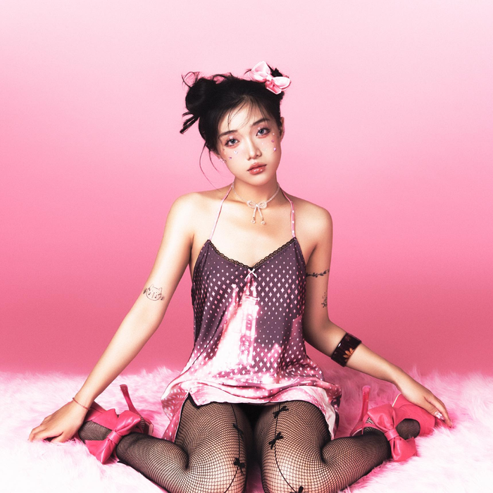 Hot TikToker Chi Xê sở hữu hơn 1,7 triệu lượt theo dõi. 