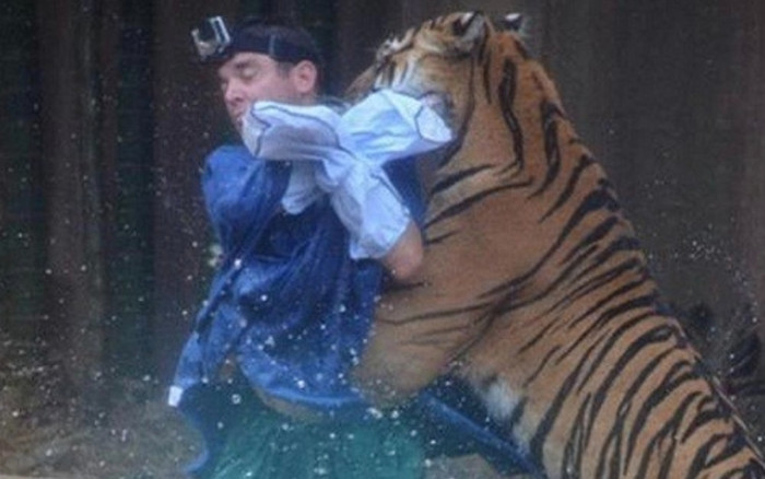 Người đàn ông bị hổ kéo lê vào rừng, vợ và dân làng đi tìm thì phát hiện cảnh tượng đau lòng Ảnh 2