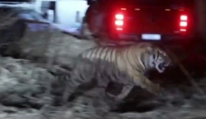 Vụ việc thương tâm này đã khiến người dân địa phương vô cùng hoang mang (Ảnh minh họa).