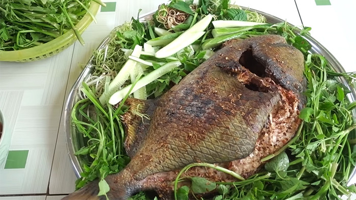 Cá bò giáp trở thành đặc sản hiếm có khó tìm vì hương vị đặc biệt.