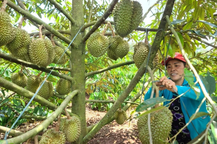 Ảnh minh hoạ/Nguồn: Dân Trí