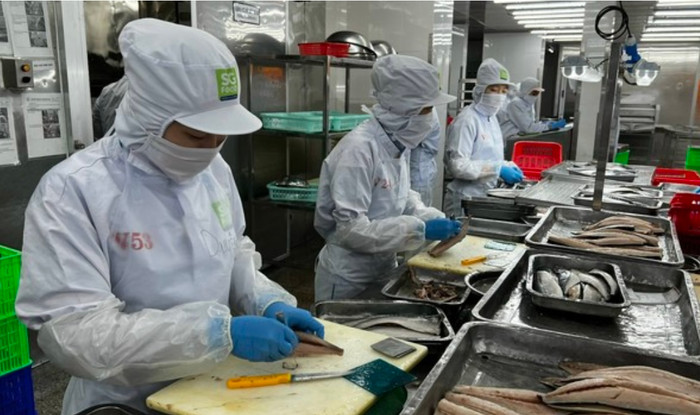 Trong trường hợp người lao động nghỉ hưu sớm theo các quy định tại Điều 65 Luật BHXH năm 2024 thì được hưởng lương hưu với mức thấp hơn so với người đủ điều kiện hưởng lương hưu quy định tại Điều 64.