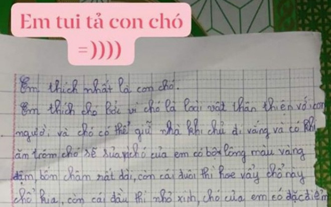Bé gái làm bài văn tả chú chó, một chi tiết quá đà khiến dân tình phải dụi mắt đọc lại Ảnh 2