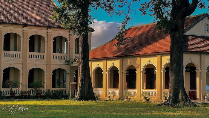 Nơi đây có rất nhiều loại cây cổ thụ rợp bóng mát. Ảnh: Hữu Tuyển