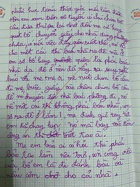Bài văn 'tả công việc của bố mẹ' chỉ đạt 1 điểm, cô giáo còn để lại lời phê gây chú ý