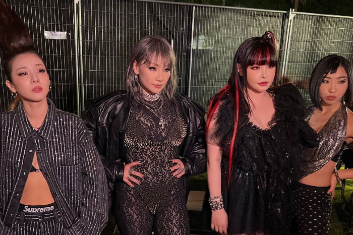 Cơ duyên giúp 2NE1 tái hợp sau nhiều năm tan rã Ảnh 1