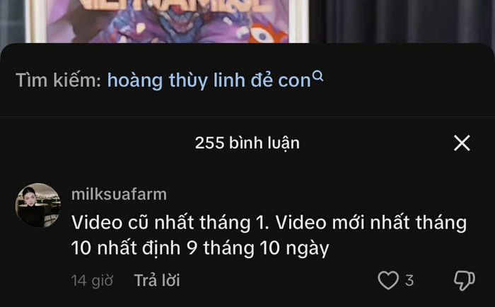 Cộng đồng mạng vẫn không ngừng bàn tán về tin đồn sinh con của Hoàng Thùy Linh.