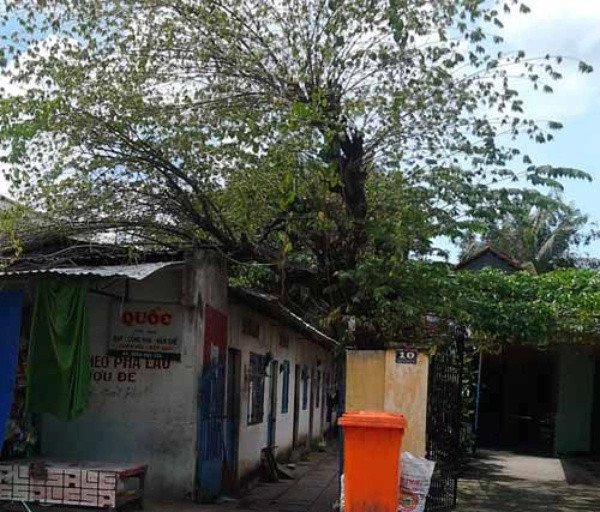 Xóm trọ năm xưa chị L ở.