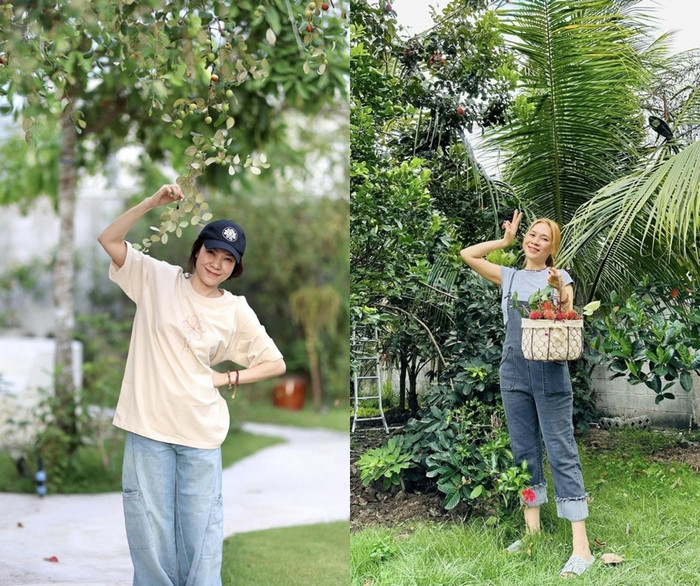Biệt thự nhà vườn của Mỹ Tâm trồng nhiều cây ăn trái và hoa. 