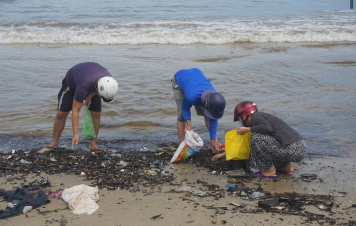 Cảnh tượng hiếm có vẹm xanh dạt vào bờ biển Đà Nẵng, dân tranh thủ gom về.