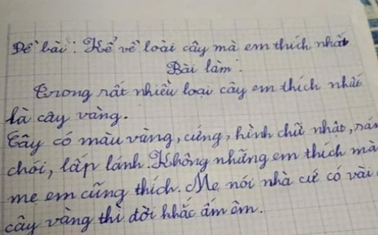 Bài văn tiểu học kể về loài cây yêu thích, đọc xong ai cũng gật gù đồng tình Ảnh 2