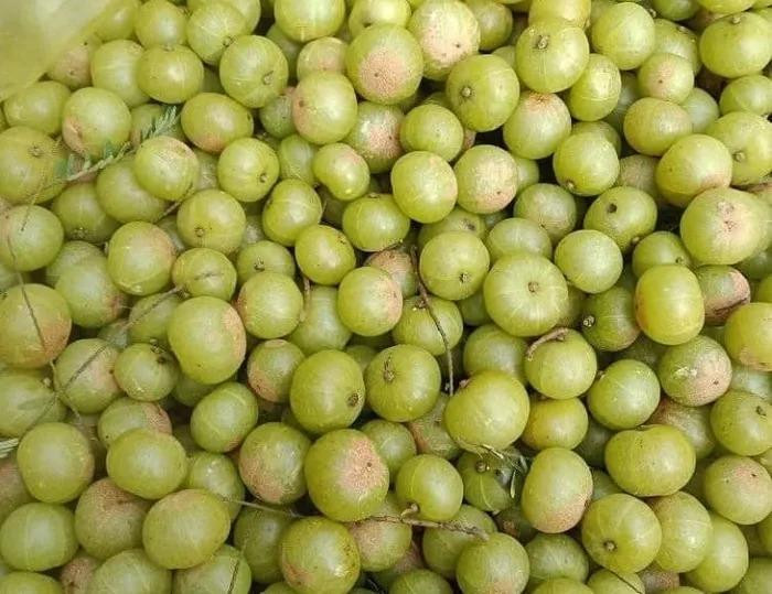 Xưa đặc sản này có đầy nhưng ít người ăn.