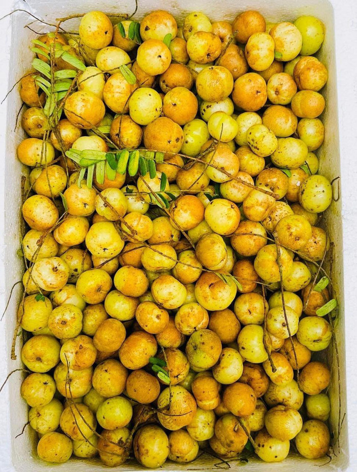 Hiện tại loại quả này được rao bán nhiều.
