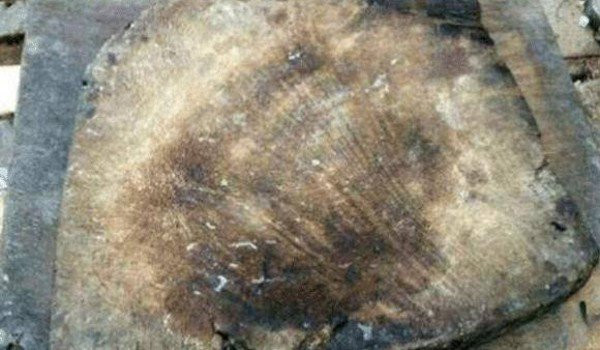 Chiếc gỗ cũ mà ông nội anh Zang để lại.