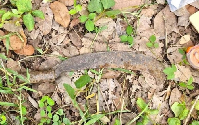 Thông tin mới nhất vụ sát hại mẹ rồi phi tang trong vườn điều Ảnh 2