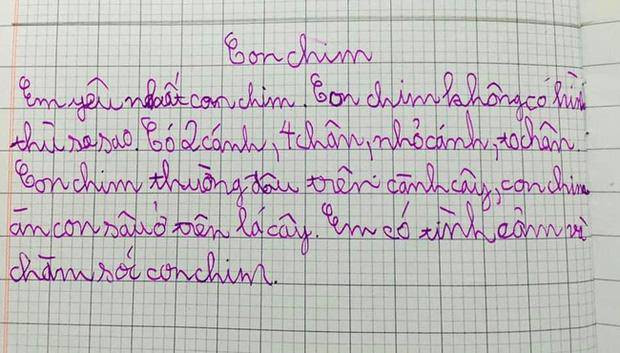 Bài văn 'tả con chim' của cậu bé lớp 3 khiến dân tình được phen cười nắc nẻ