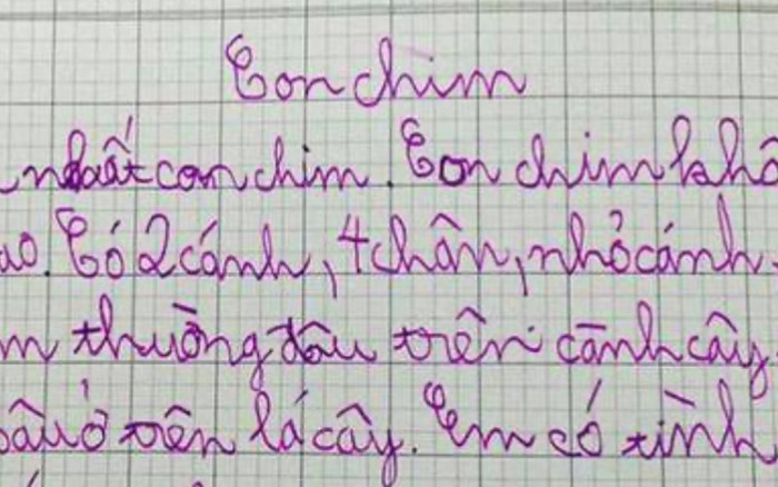 Bài văn 'tả con chim' vỏn vẹn 5 dòng, cô giáo đọc nhưng không chấm điểm Ảnh 2
