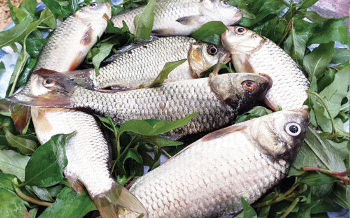 Loại cá có tên lạ từng bị chê giờ thành đặc sản với hương vị ai cũng mê mẩn, 100.000 đồng/kg Ảnh 2