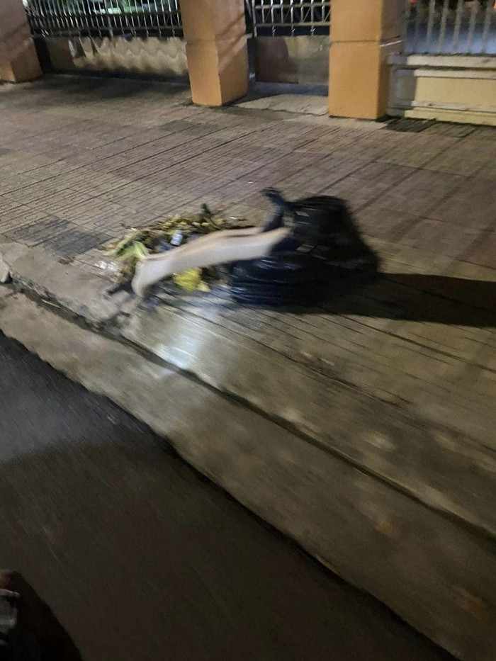 Thực tế đây chỉ là mô hình ma nơ căng.