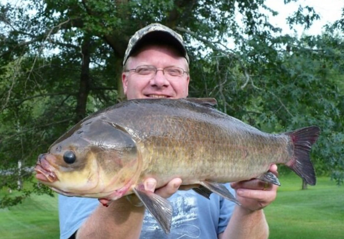Loài cá này đã phát triển khả năng sống lâu để bù đắp cho những khoảng thời gian không sinh sản dài lâu. (Ảnh: Pixabay).