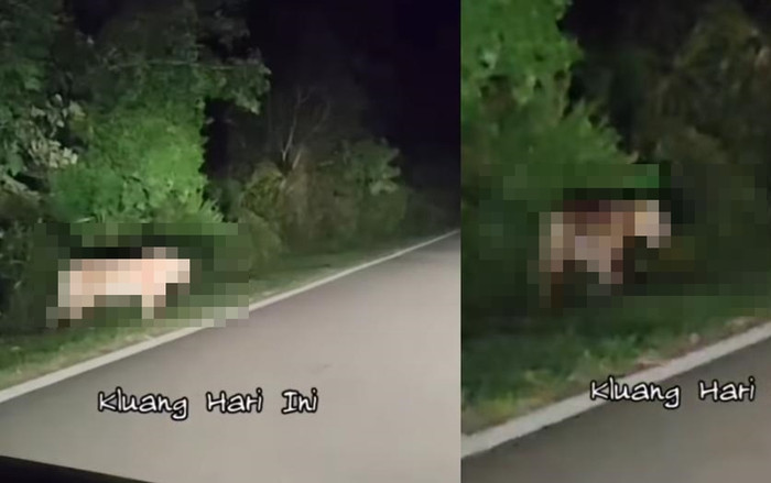 Lái xe trên đường vắng trong đêm muộn, tài xế hoảng loạn khi thấy cảnh tượng trước mắt Ảnh 2