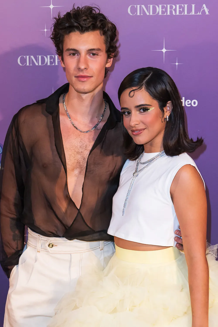 Shawn Mendes gây tranh cãi khi nhắc đến mối quan hệ với bạn gái cũ dù đã chia tay nhiều năm Ảnh 1