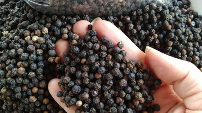 Xuất khẩu hạt tiêu thu tiền tỷ