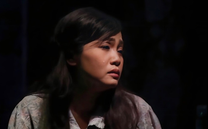 Nữ diễn viên Việt bỏ việc, bán nhà qua Nhật Bản rửa bát thuê giờ ra sao? Ảnh 2