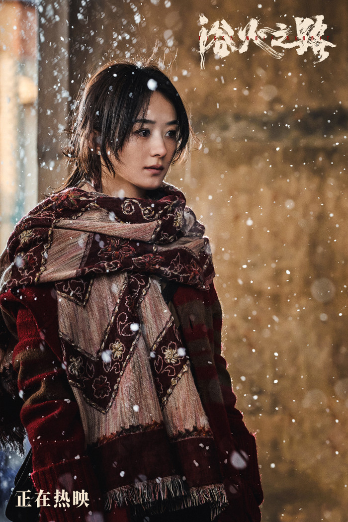 Diễn xuất của Triệu Lệ Dĩnh khá ổn nhưng không đột phá.