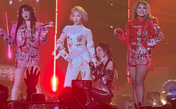 'Em gái' BLACKPINK xuất hiện trong concert tái hợp của 2NE1 Ảnh 2