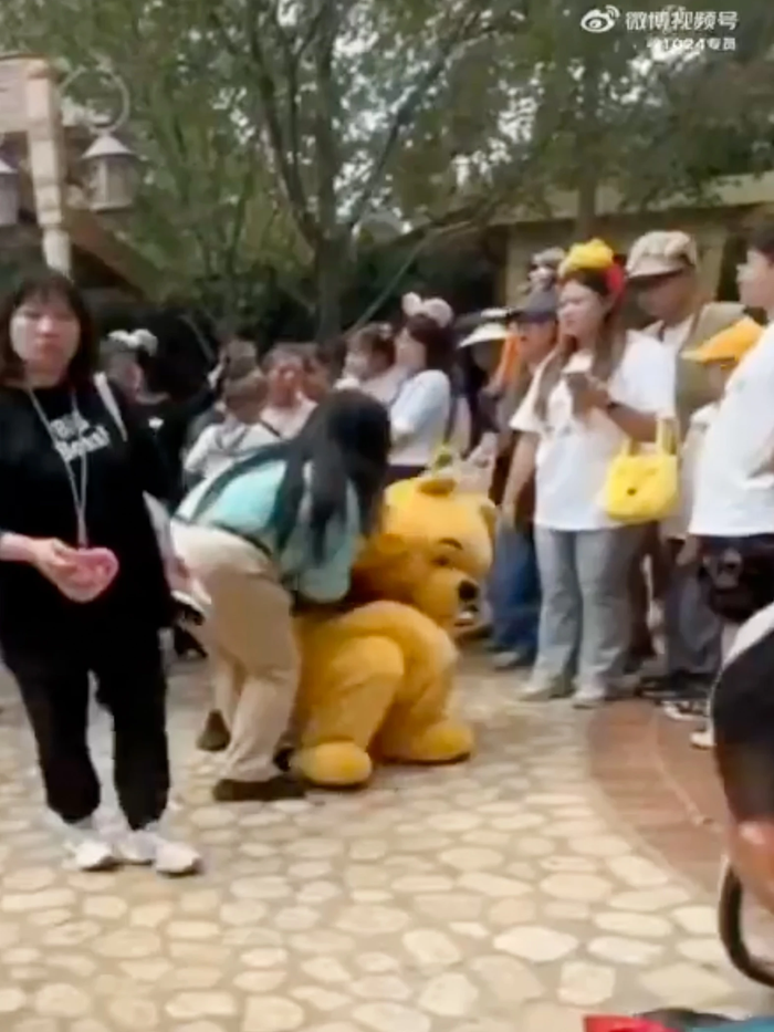 Phẫn nộ du khách đánh mạnh vào người mặc đồ thú bông, ngã lăn xuống đất Ảnh 2