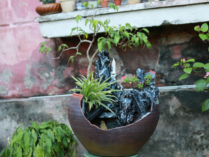 Hon non bộ từ rác tái chế của anh Giang