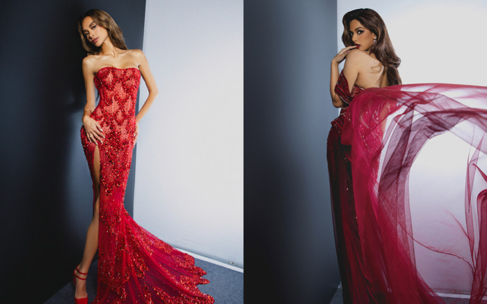 Khi các Hoa hậu quốc tế 'kèn cựa' sắc vóc trong thiết kế Việt trên thảm đỏ Ảnh 2