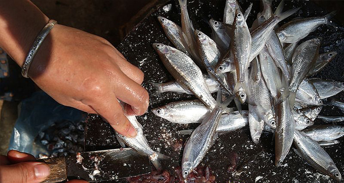 Đây là đặc sản của người dân tộc Thái ở Sơn La.