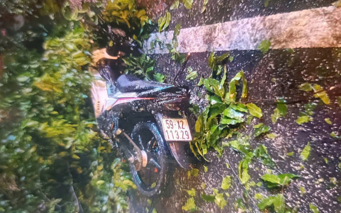 Cây xanh ở TP.HCM bật gốc đè trúng 4 người đi đường Ảnh 2