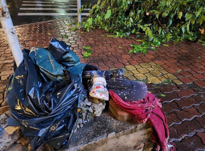 Tại giao lộ Mạc Đĩnh Chi - Nguyễn Đình Chiểu mưa lớn khiến cây ngã đổ đè bị thương 4 người đi đường.