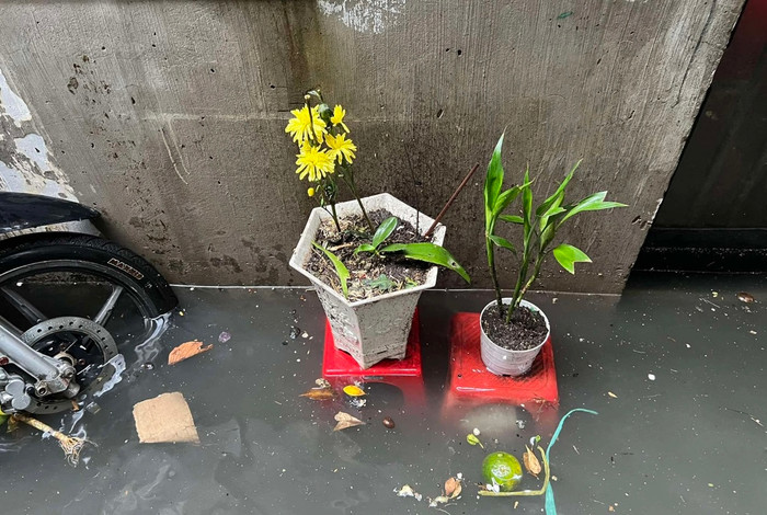 TP.HCM mưa lớn biến đường phố thành 'biển nước', người dân lao đao trong nhà lẫn ngoài trời Ảnh 6