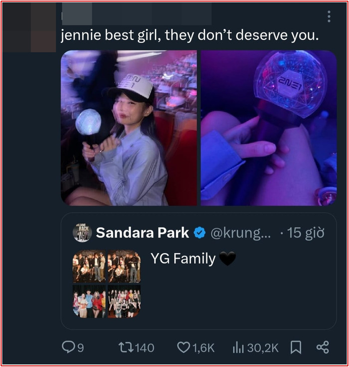 Dara (2NE1) bị chỉ trích vì Jennie Ảnh 3