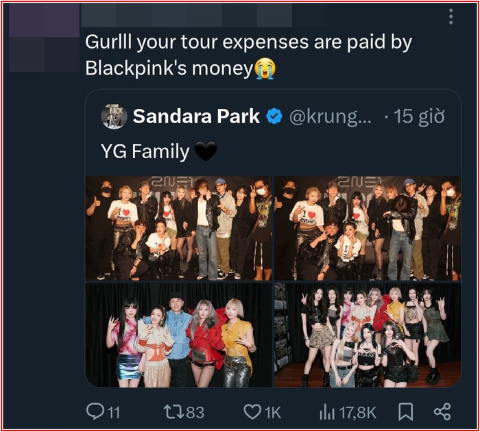 Dara (2NE1) bị chỉ trích vì Jennie Ảnh 4