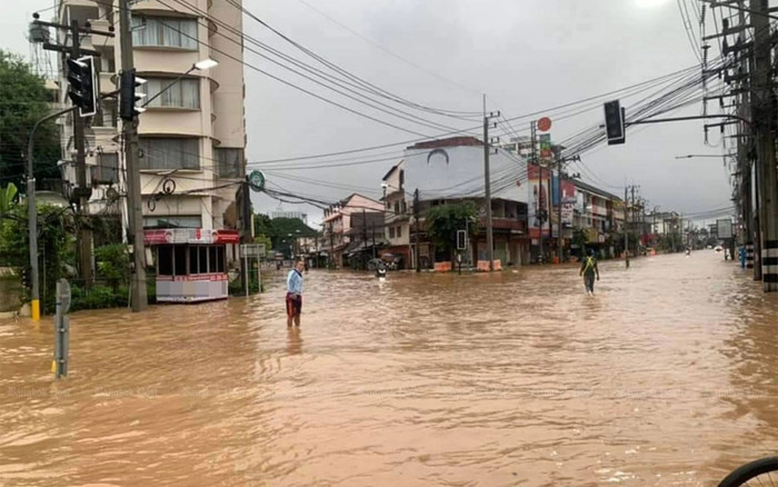 'Thủy quái' khổng lồ xuất hiện sau trận lũ lụt, cân nặng gây choáng váng Ảnh 2
