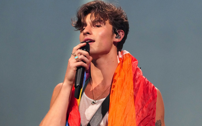 Shawn Mendes công khai bạn trai? Ảnh 2