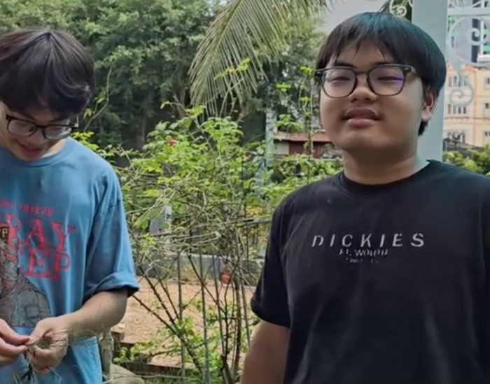 Giờ Bi Béo đã trở thành, lớn phổng phao.