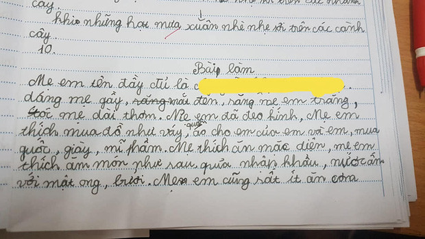 Cô bé tiểu học viết bài văn kể về mẹ, tả một chi tiết khiến ai cũng ngưỡng mộ Ảnh 1