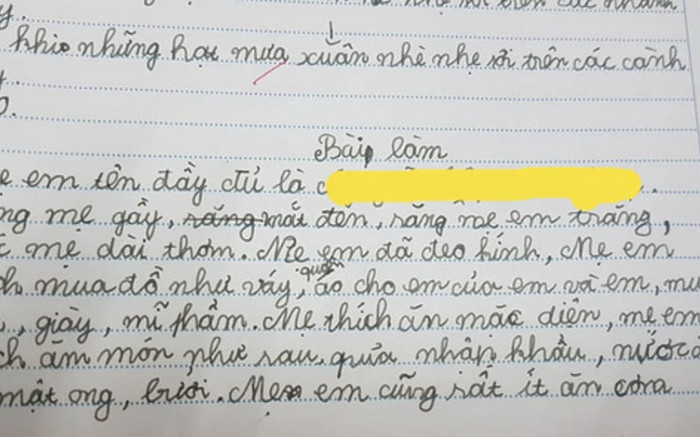Cô bé tiểu học viết bài văn kể về mẹ, tả một chi tiết khiến ai cũng ngưỡng mộ Ảnh 2