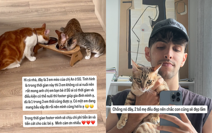 Động thái đầu tiên của em trai An Tây sau khi chị gái bị bắt là nhờ cư dân mạng hỗ trợ chăm sóc thú cưng của chị.